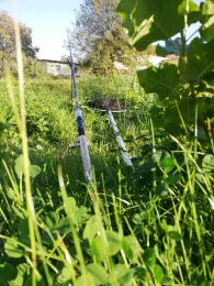 Weißer Schöps (Kodersdorf)-3