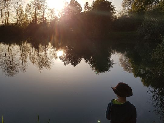 Plötzensee (Messenkamp)-3