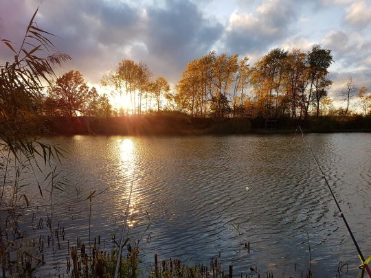 Plötzensee (Messenkamp)-4