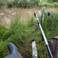 Pleiße (Saara/Lehndorf)-2