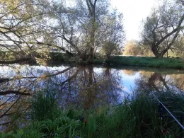 Pleiße (Saara/Lehndorf)