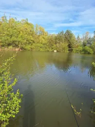 Rentner-See (Kleinsendelbach)-1