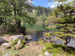 Großer Scheibelsee (Hohentauern)-1