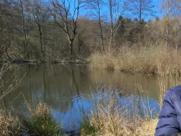 Heilshorner Teiche-2