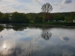 Neckar (Mittelstadt)-3