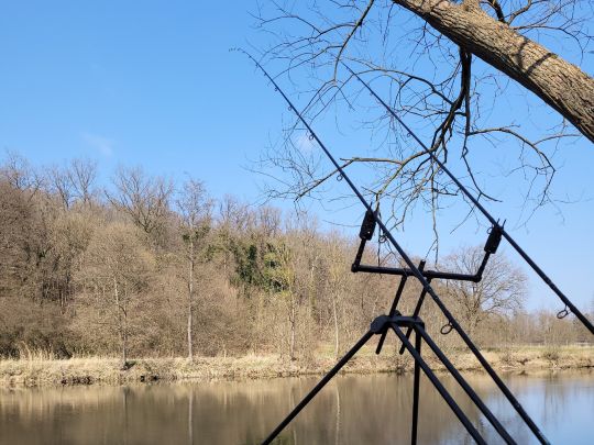 Neckar (Mittelstadt)-1