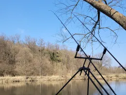 Neckar (Mittelstadt)-1