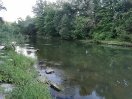 Neckar (Mittelstadt)-2