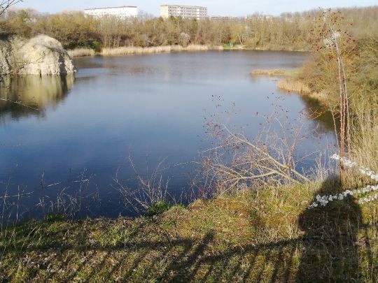 Bruchsee (Halle)-1