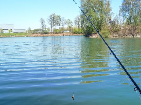Wesel-Datteln-Kanal (Friedrichsfeld) angeln
