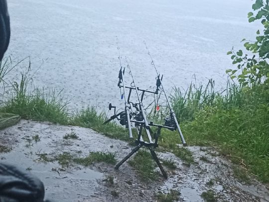 Wolf-Kößnach-Weiher Nr. 14-3