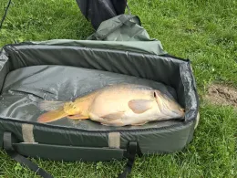 Wolf-Kößnach-Weiher Nr. 14-2