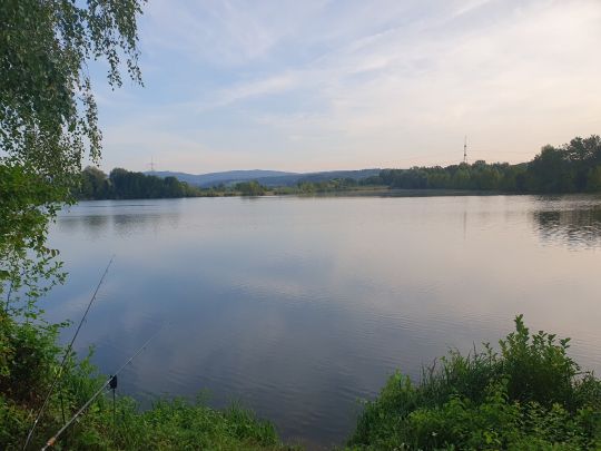 Wolf-Kößnach-Weiher Nr. 14-4