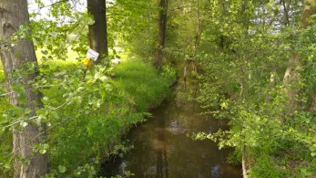 Koselmühlenfließ-0