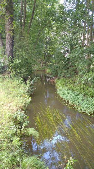 Koselmühlenfließ