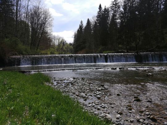 Mangfall (Thalham)-1