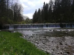 Mangfall (Thalham)-1