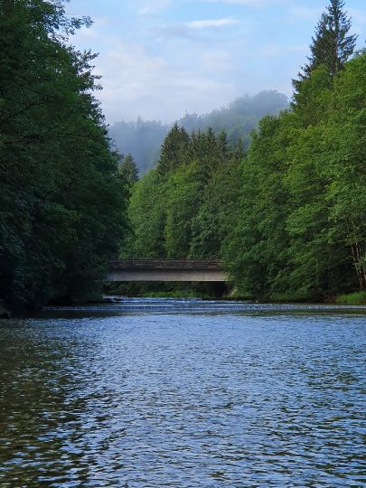 Mangfall (Thalham)-2