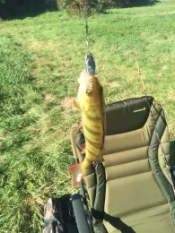 Schwalm (Uttershausen)-1