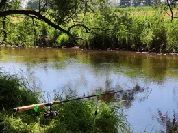 Schwalm (Uttershausen)