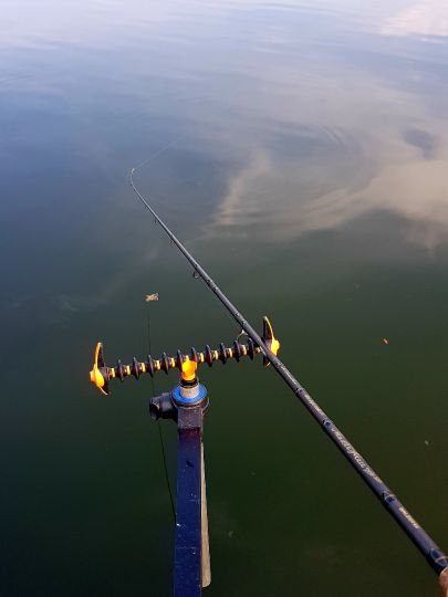 Dortmund-Ems-Kanal (Waltrop) angeln