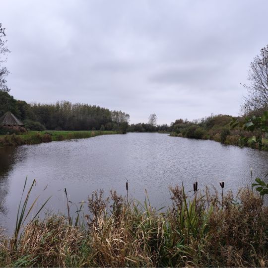 Tversted Lystfiskeri-1