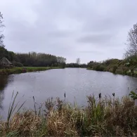 Tversted Lystfiskeri-1