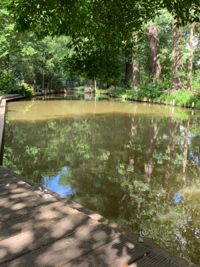 Radduscher Kahnfahrt-2