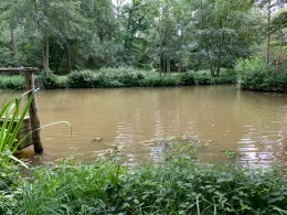 Radduscher Kahnfahrt-1