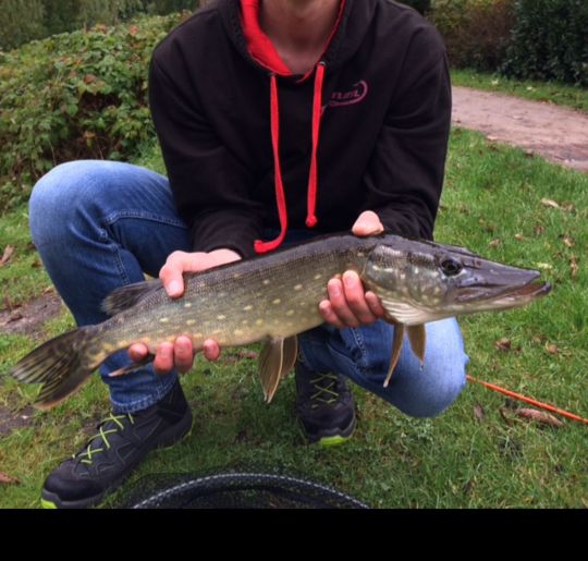 Mehlbeerenteich