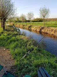 Kleine Erft (Bergheim)