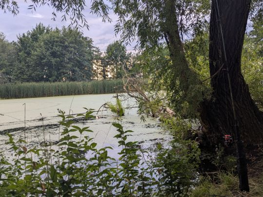 Vorsperre (Rennersdorf)