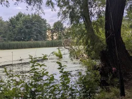 Vorsperre (Rennersdorf)