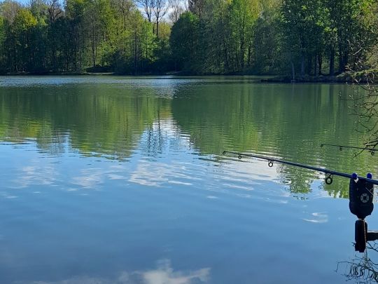 Waldsee Burlafingen-1