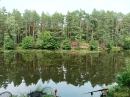 Hammerweiher (Röthenbach)-3