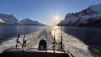 Nordmeer (Tromsø)-4