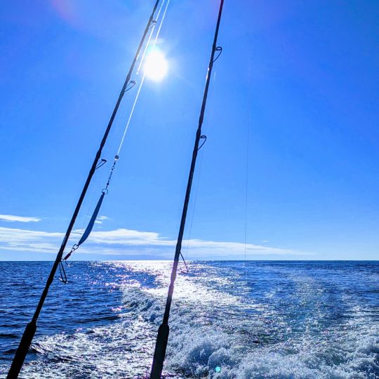 Nordmeer (Tromsø)