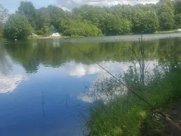 Fischersee Forelle (Kronshorst)