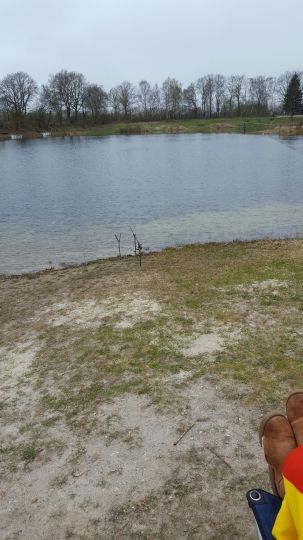 Fischersee Forelle (Kronshorst)-4