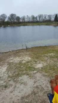 Fischersee Forelle (Kronshorst)-4