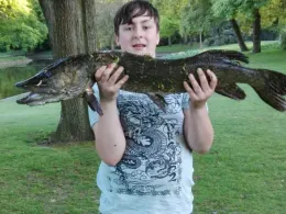 Stadtparkteich Gronau