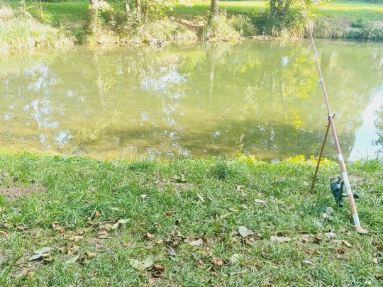 Angelpark Ötisheim-4