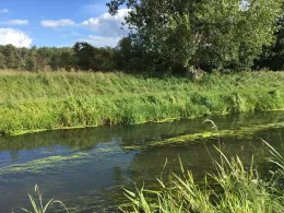 Nuthe (Märtensmühle-Ahrensdorf)