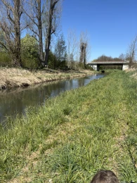 Nuthe (Märtensmühle-Ahrensdorf)-3