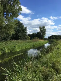 Nuthe (Märtensmühle-Ahrensdorf)-2