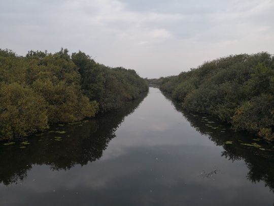 Stichkanal Oldersbek-0