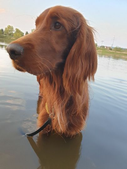 Angeln in Weinböhla