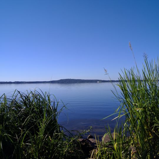 Wolziger See (Heidesee)-3