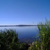 Wolziger See (Heidesee)-3