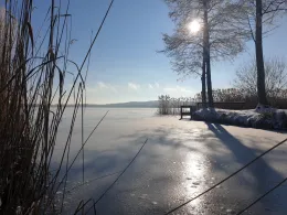 Wolziger See (Heidesee)-2